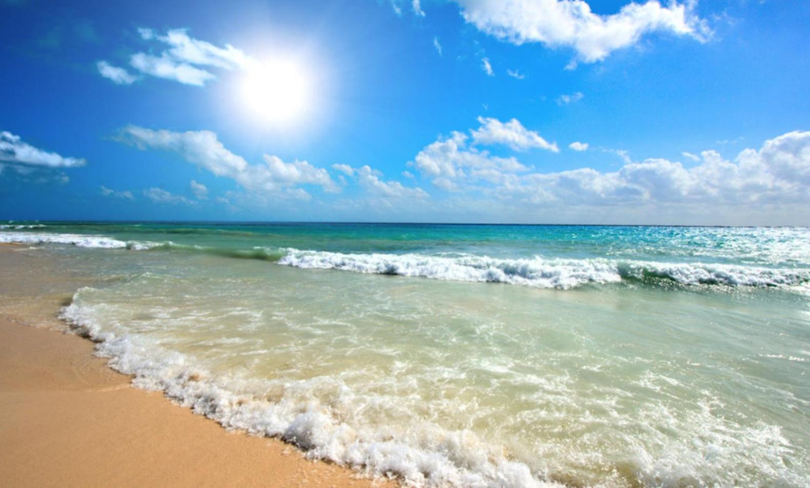 Sunny Beach Plaza 33 Studio 외부 사진